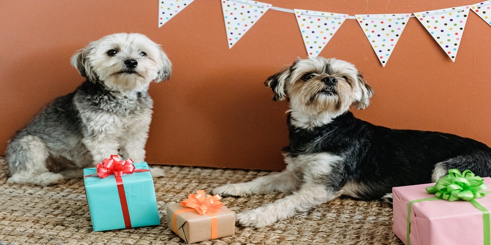 Post Amazing Gift Basket Pictures